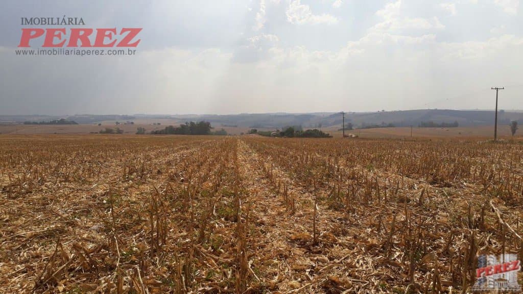 Imóveis Rurais, de 1 quarto, 121000 m² à venda no Rural - Cambe/PR - Foto 30