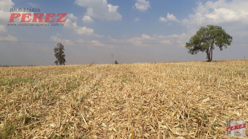 Imóveis Rurais, de 1 quarto, 121000 m² à venda no Rural - Cambe/PR - Foto 20
