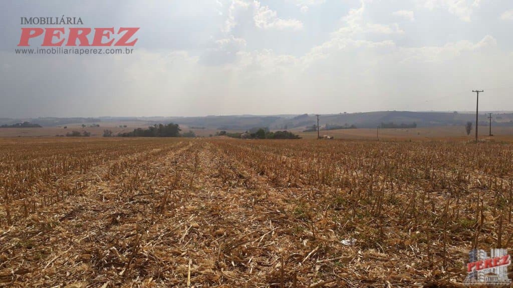 Imóveis Rurais, de 1 quarto, 121000 m² à venda no Rural - Cambe/PR - Foto 26