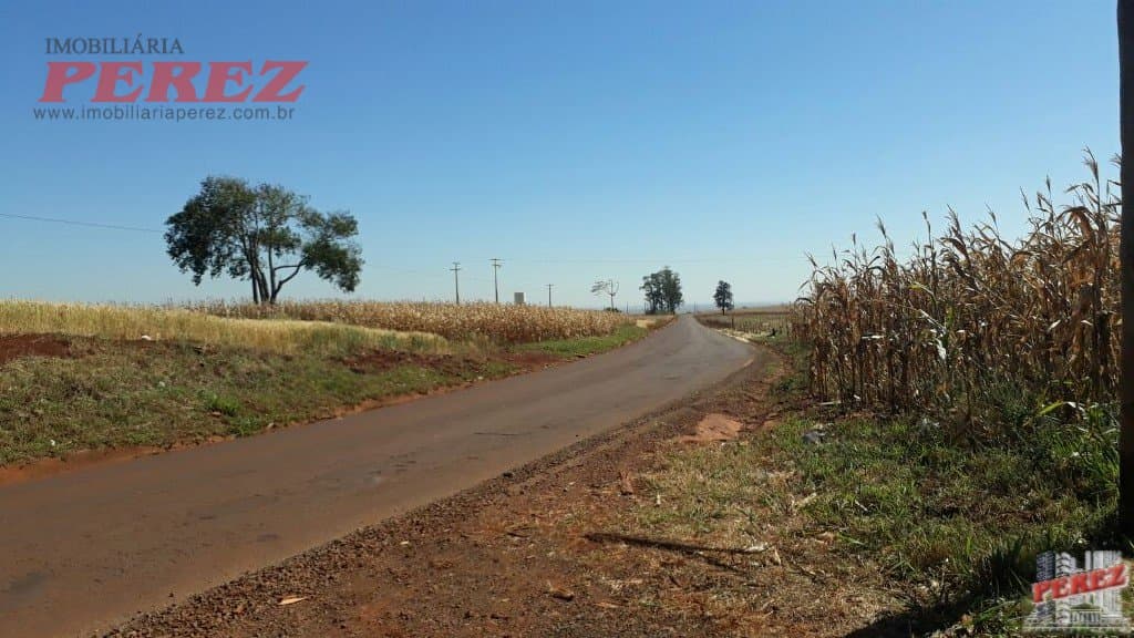 Imóveis Rurais, de 1 quarto, 121000 m² à venda no Rural - Cambe/PR - Foto 18