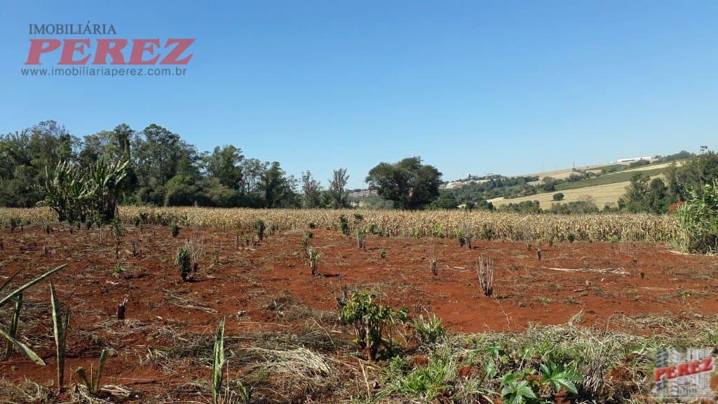 Imóveis Rurais, de 1 quarto, 121000 m² à venda no Rural - Cambe/PR - Foto 4