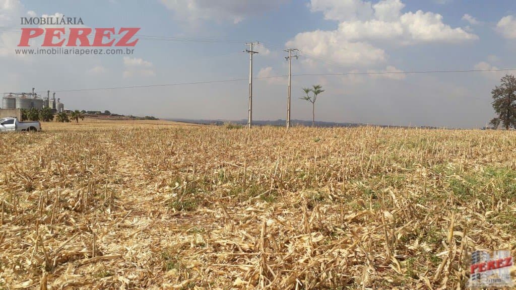 Imóveis Rurais, de 1 quarto, 121000 m² à venda no Rural - Cambe/PR - Foto 29