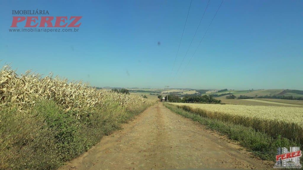 Imóveis Rurais, de 1 quarto, 121000 m² à venda no Rural - Cambe/PR - Foto 17