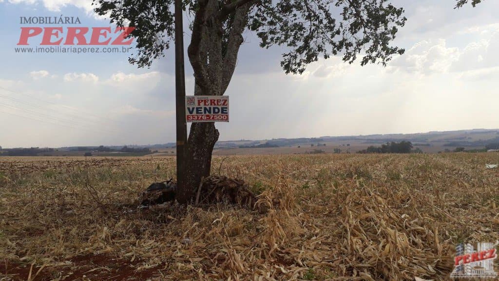 Imóveis Rurais, de 1 quarto, 121000 m² à venda no Rural - Cambe/PR - Foto 21