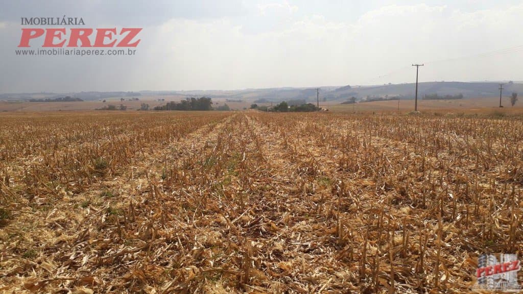 Imóveis Rurais, de 1 quarto, 121000 m² à venda no Rural - Cambe/PR - Foto 28