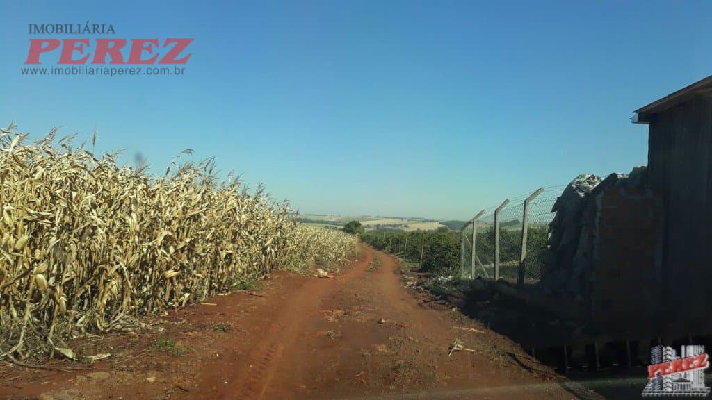 Imóveis Rurais, de 1 quarto, 121000 m² à venda no Rural - Cambe/PR - Foto 11