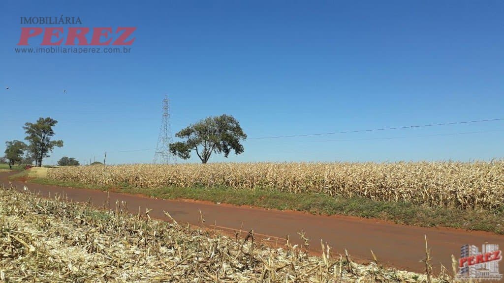 Imóveis Rurais, de 1 quarto, 121000 m² à venda no Rural - Cambe/PR - Foto 14