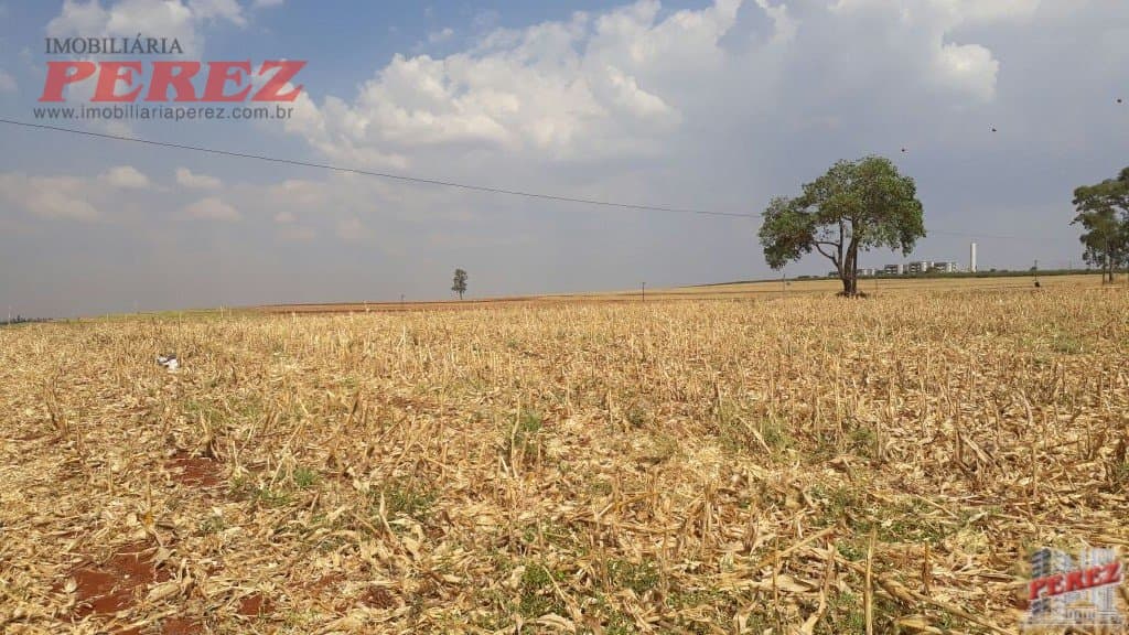 Imóveis Rurais, de 1 quarto, 121000 m² à venda no Rural - Cambe/PR - Foto 27