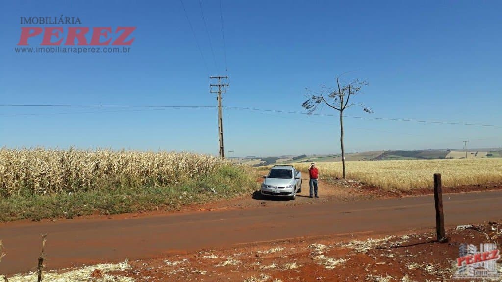 Imóveis Rurais, de 1 quarto, 121000 m² à venda no Rural - Cambe/PR - Foto 10
