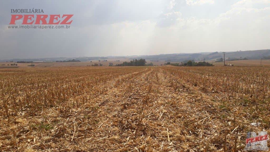 Imóveis Rurais, de 1 quarto, 121000 m² à venda no Rural - Cambe/PR - Foto 24