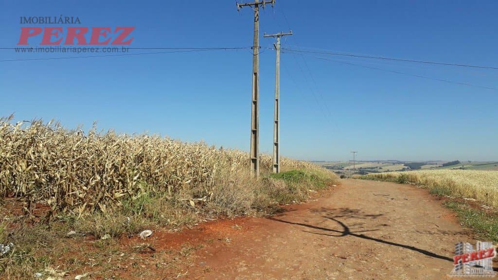 Imóveis Rurais, de 1 quarto, 121000 m² à venda no Rural - Cambe/PR - Foto 8