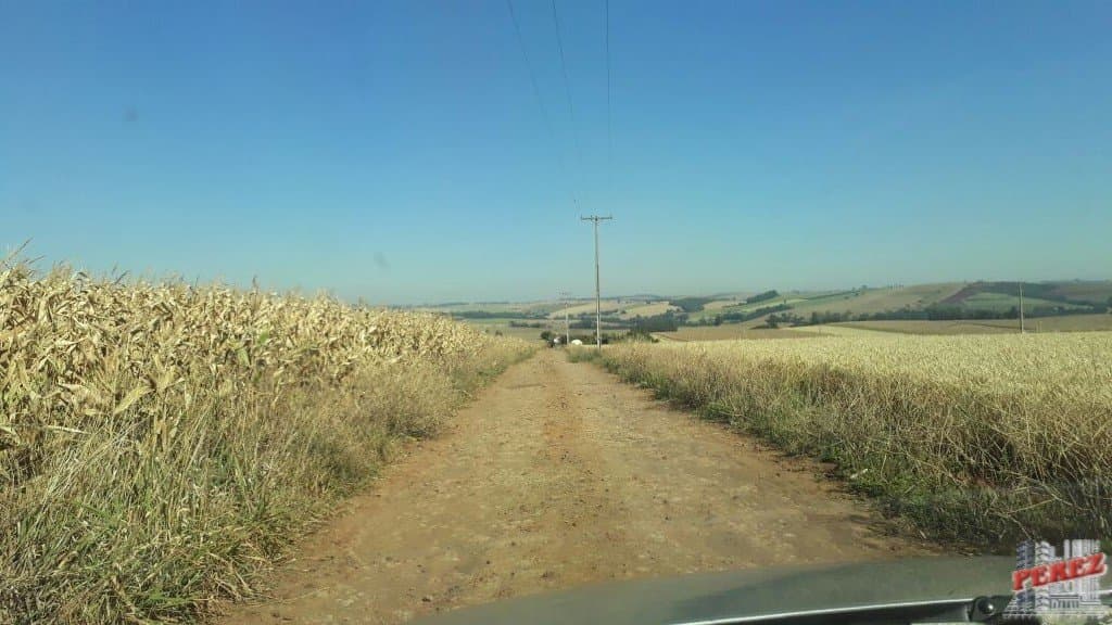 Imóveis Rurais, de 1 quarto, 121000 m² à venda no Rural - Cambe/PR - Foto 7