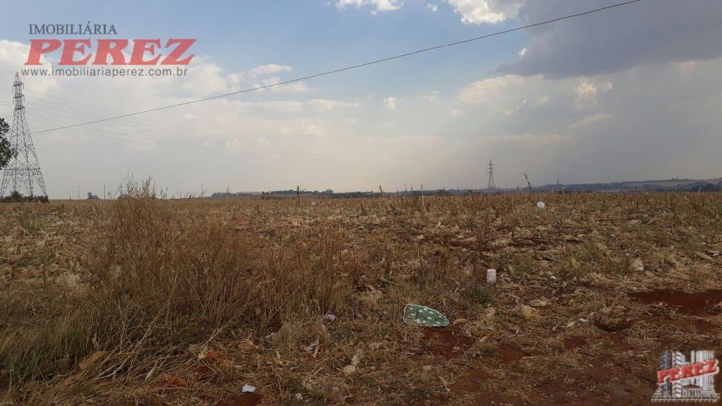 Imóveis Rurais, de 1 quarto, 121000 m² à venda no Rural - Cambe/PR - Foto 22
