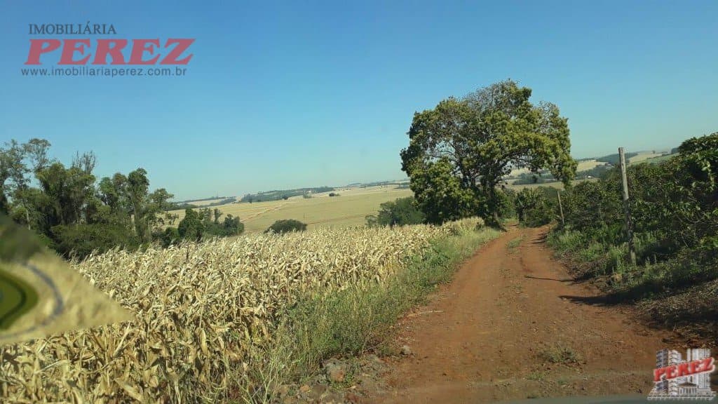 Imóveis Rurais, de 1 quarto, 121000 m² à venda no Rural - Cambe/PR - Foto 12
