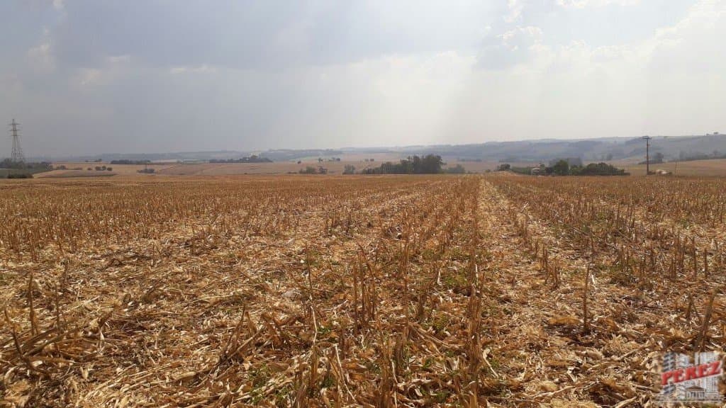 Imóveis Rurais, de 1 quarto, 121000 m² à venda no Rural - Cambe/PR - Foto 25