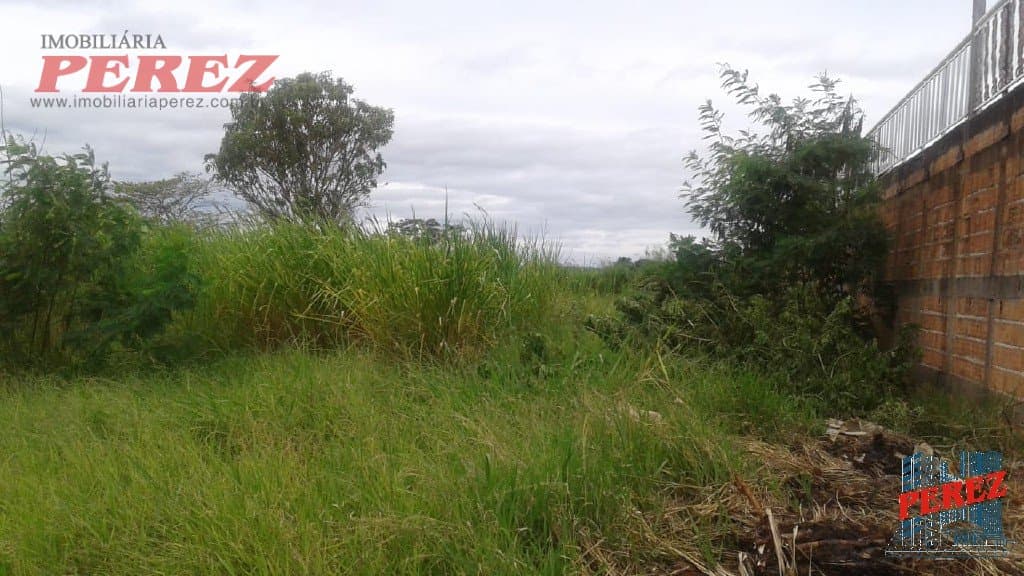 Imóveis Rurais, de 1 quarto à venda no Recanto Do Pescador - Ibipora/PR - Foto 5