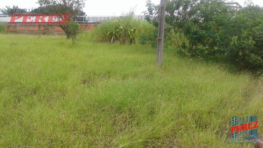 Imóveis Rurais, de 1 quarto à venda no Recanto Do Pescador - Ibipora/PR - Foto 3