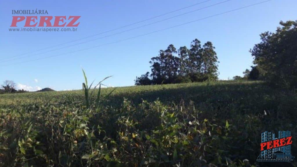 Imóveis Rurais à venda no Limoeiro - Londrina/PR - Foto 13
