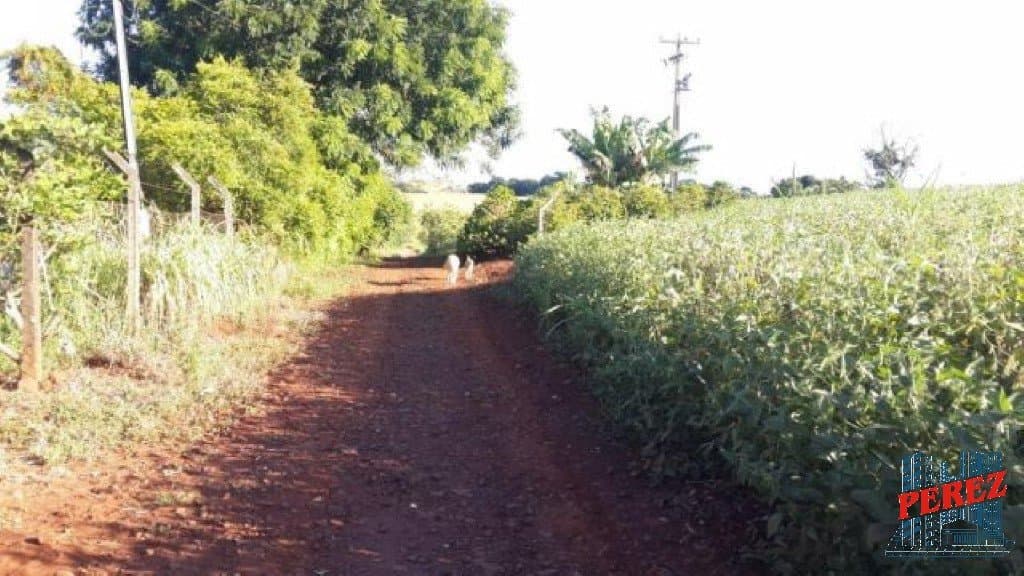 Imóveis Rurais à venda no Limoeiro - Londrina/PR - Foto 12