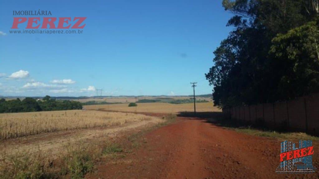 Imóveis Rurais à venda no Limoeiro - Londrina/PR - Foto 5