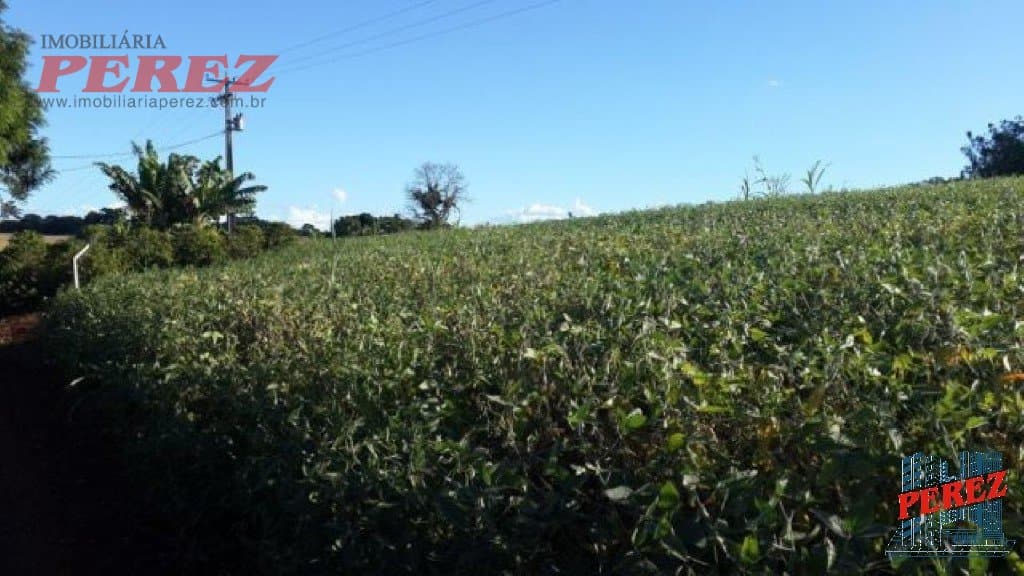 Imóveis Rurais à venda no Limoeiro - Londrina/PR - Foto 10