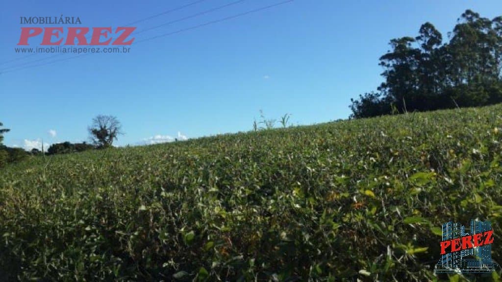Imóveis Rurais à venda no Limoeiro - Londrina/PR - Foto 9