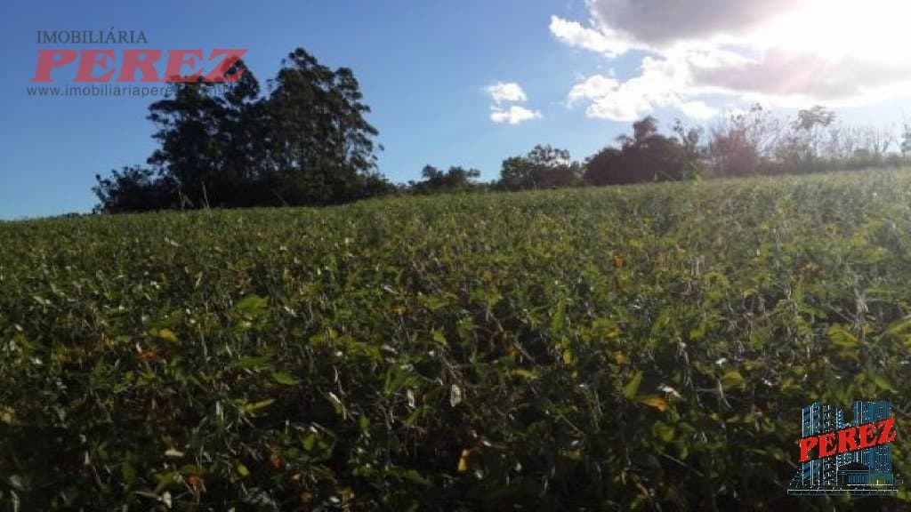 Imóveis Rurais à venda no Limoeiro - Londrina/PR - Foto 8