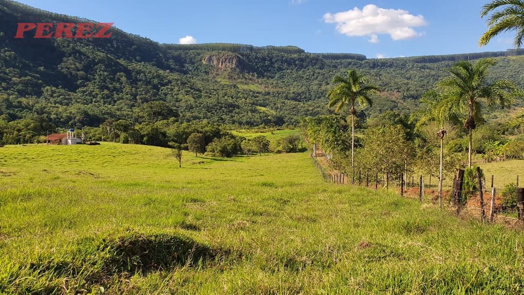 Imóveis Rurais no Condominio Vale Do Tibagi, de 3 quartos, 28000 m² à venda no Vale Do Tibagi - Londrina/PR - Foto 29