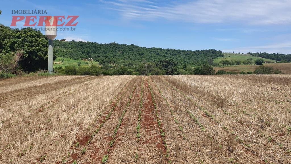 Imóveis Rurais no Fazenda Esmeralda, de 1 quarto, 1210000 m² à venda no Rural - Ibipora/PR - Foto 14