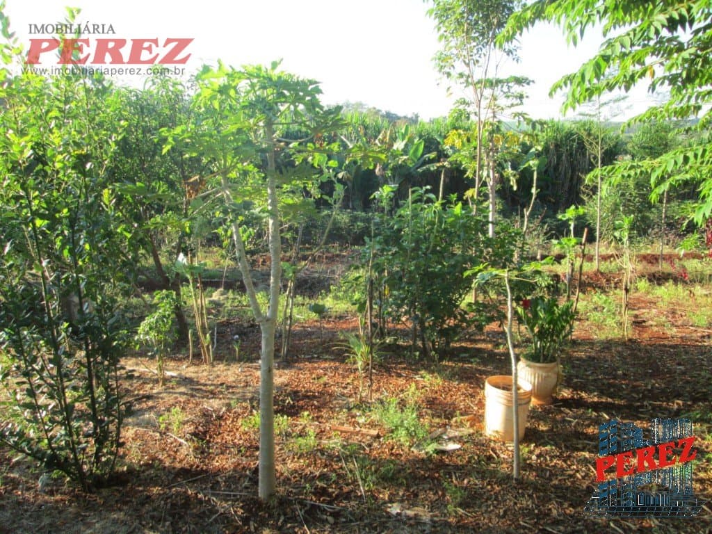 Imóveis Rurais, de 1 quarto, 164 m² à venda no Limoeiro - Londrina/PR - Foto 25