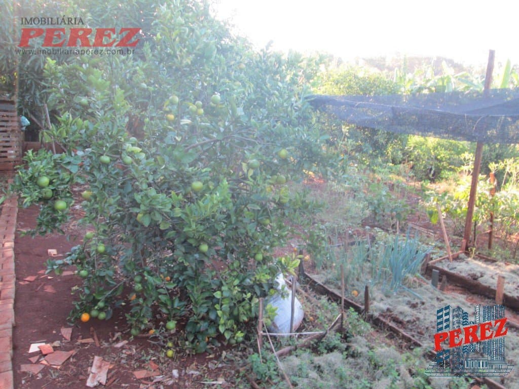 Imóveis Rurais, de 1 quarto, 164 m² à venda no Limoeiro - Londrina/PR - Foto 28