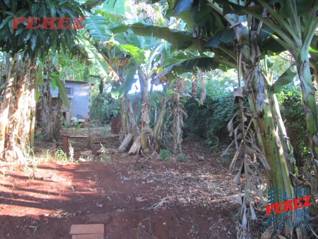 Imóveis Rurais, de 1 quarto, 164 m² à venda no Limoeiro - Londrina/PR - Foto 32