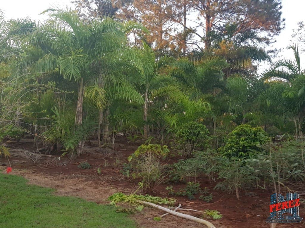 Imóveis Rurais, de 3 quartos, 10000 m² à venda no Usina Tres Bocas - Londrina/PR - Foto 6