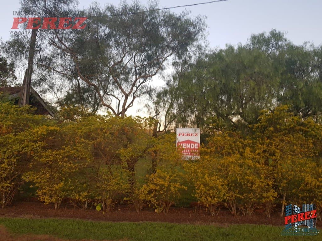 Imóveis Rurais, de 3 quartos, 10000 m² à venda no Usina Tres Bocas - Londrina/PR - Foto 22