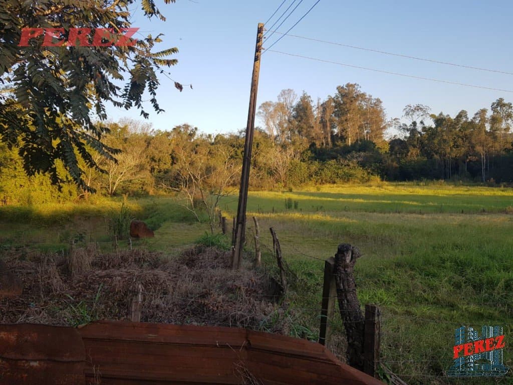 Imóveis Rurais, de 3 quartos, 10000 m² à venda no Usina Tres Bocas - Londrina/PR - Foto 5