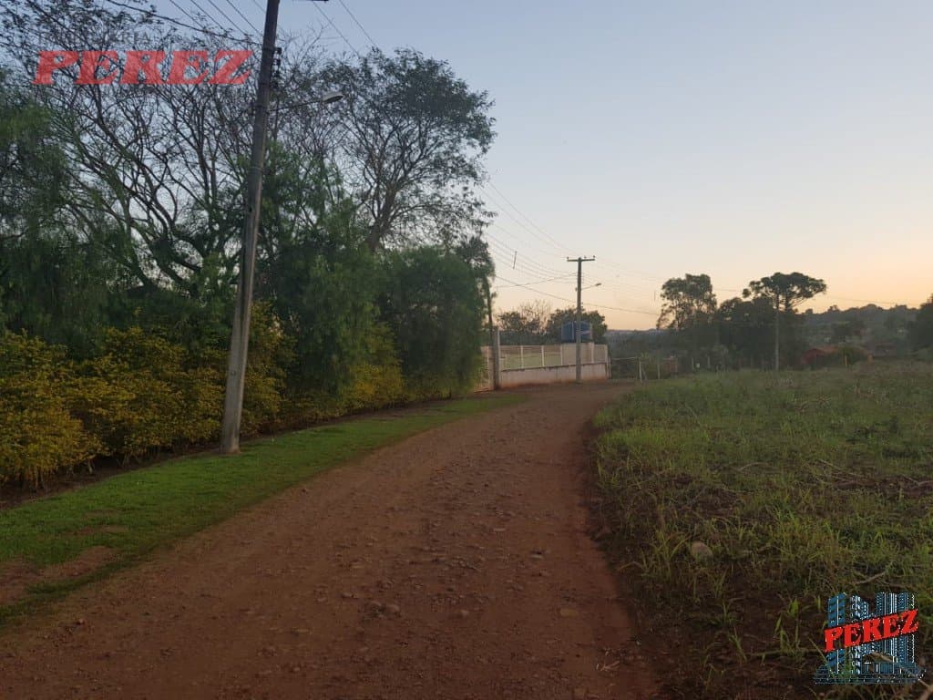 Imóveis Rurais, de 3 quartos, 10000 m² à venda no Usina Tres Bocas - Londrina/PR - Foto 23