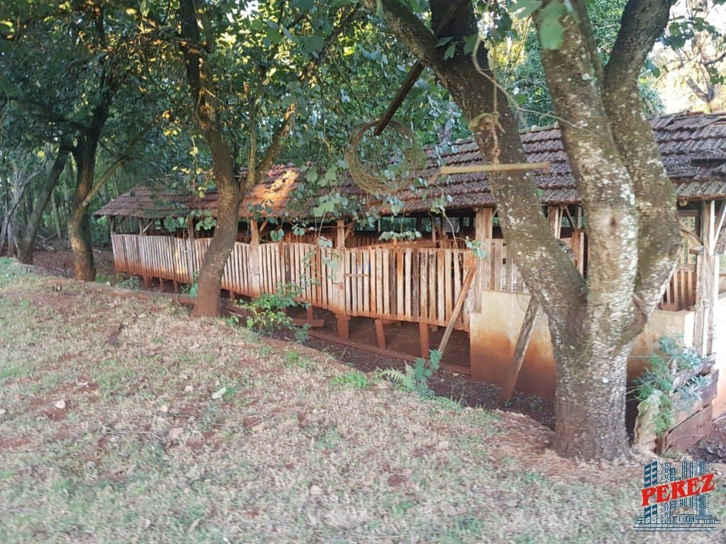 Imóveis Rurais, de 3 quartos, 10000 m² à venda no Usina Tres Bocas - Londrina/PR - Foto 7