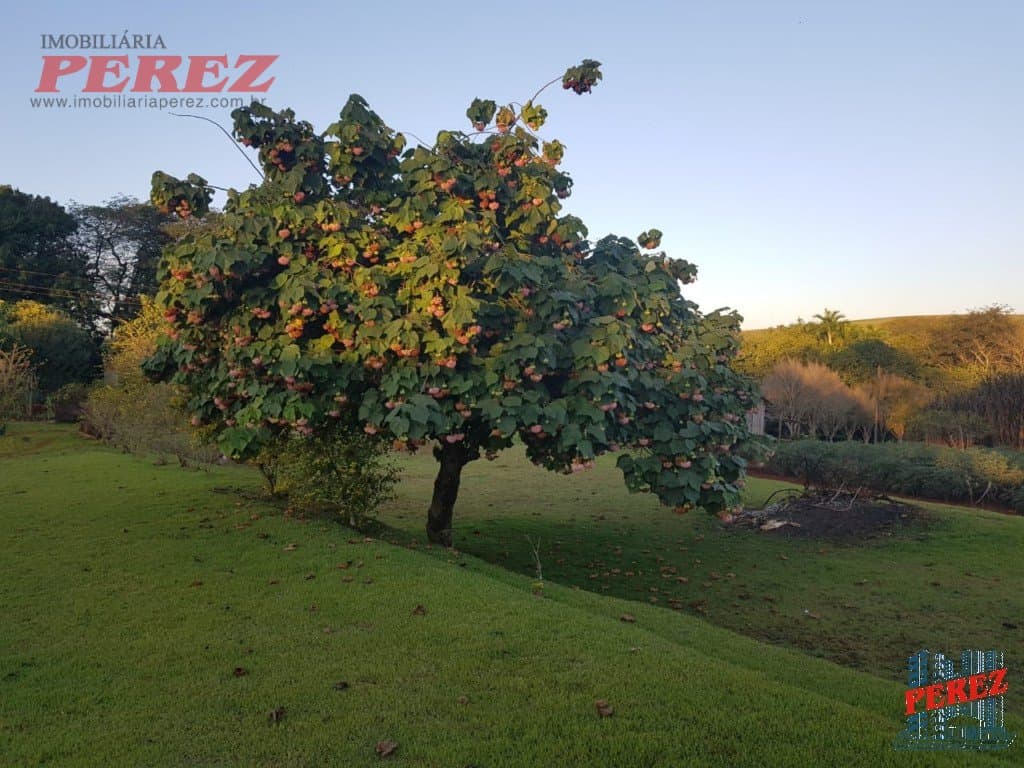 Imóveis Rurais, de 3 quartos, 10000 m² à venda no Usina Tres Bocas - Londrina/PR - Foto 12