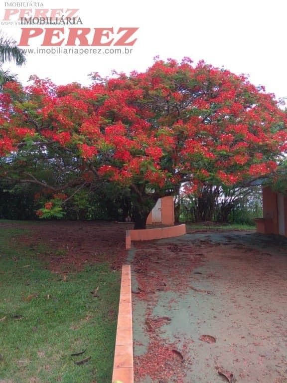 Imóveis Rurais, de 2 quartos à venda no Ibiaci - Ibiaci/PR - Foto 31