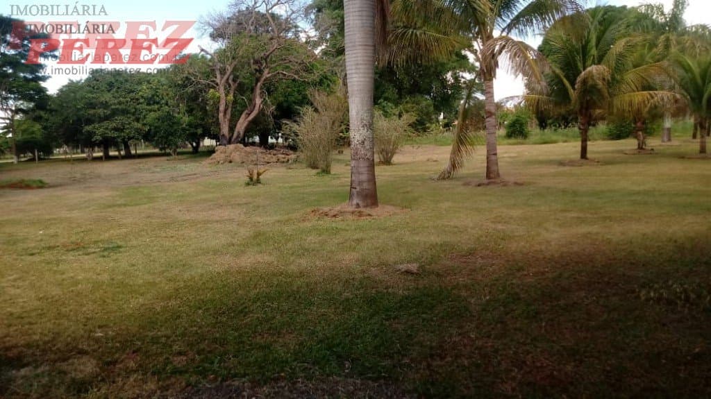 Imóveis Rurais, de 2 quartos à venda no Ibiaci - Ibiaci/PR - Foto 33