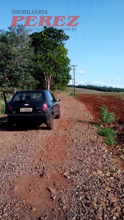 Chácara à venda na Estrada Betânia - Natureza, tranquilidade e ótima localização em Londrina! - Foto 5