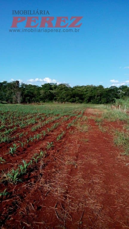Chácara à venda na Estrada Betânia - Natureza, tranquilidade e ótima localização em Londrina! - Foto 7