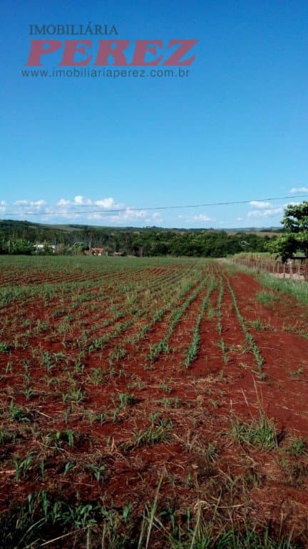Chácara à venda na Estrada Betânia - Natureza, tranquilidade e ótima localização em Londrina! - Foto 3