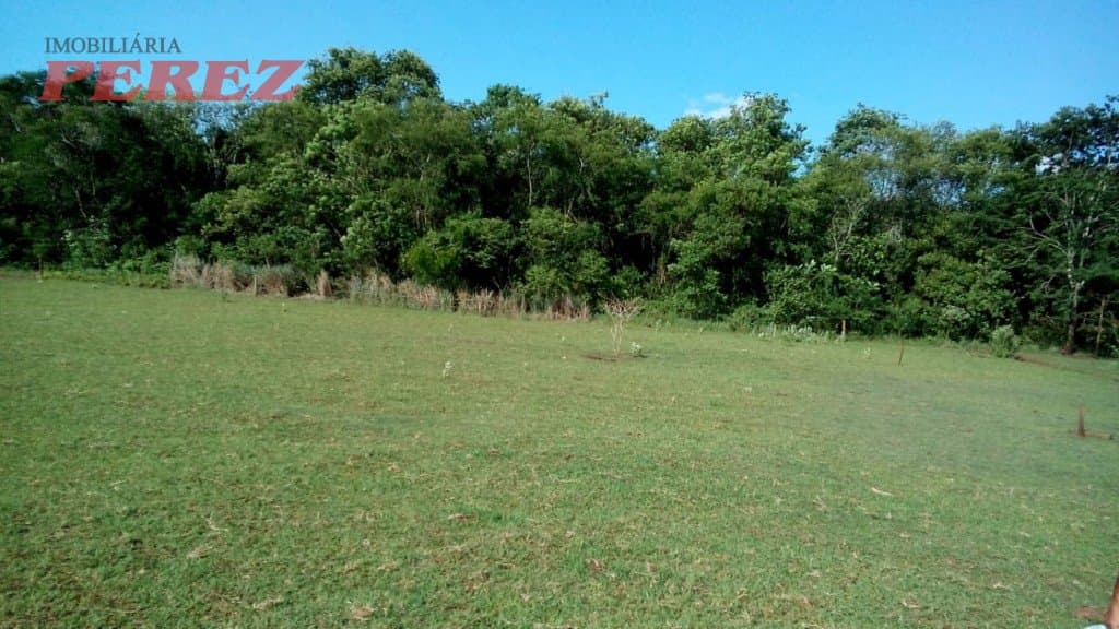 Chácara à venda na Estrada Betânia - Natureza, tranquilidade e ótima localização em Londrina! - Foto 6
