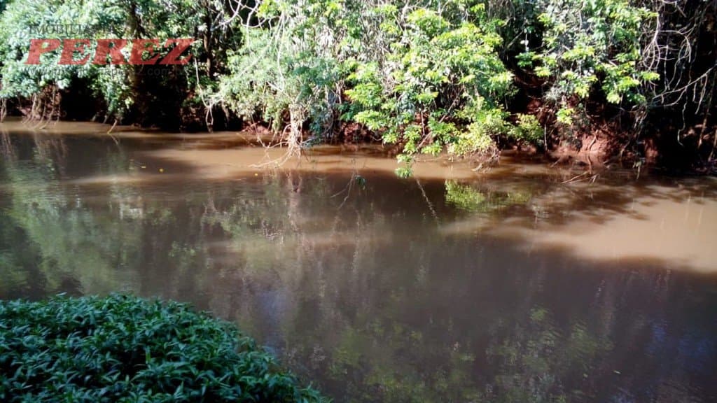 Chácara à venda na Estrada Betânia - Natureza, tranquilidade e ótima localização em Londrina! - Foto 1