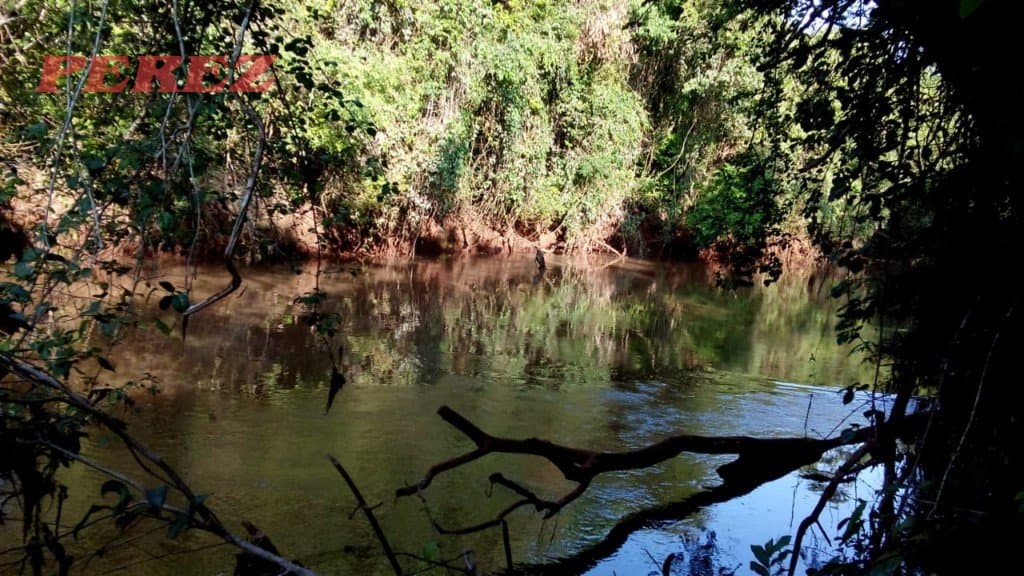 Chácara à venda na Estrada Betânia - Natureza, tranquilidade e ótima localização em Londrina! - Foto 0