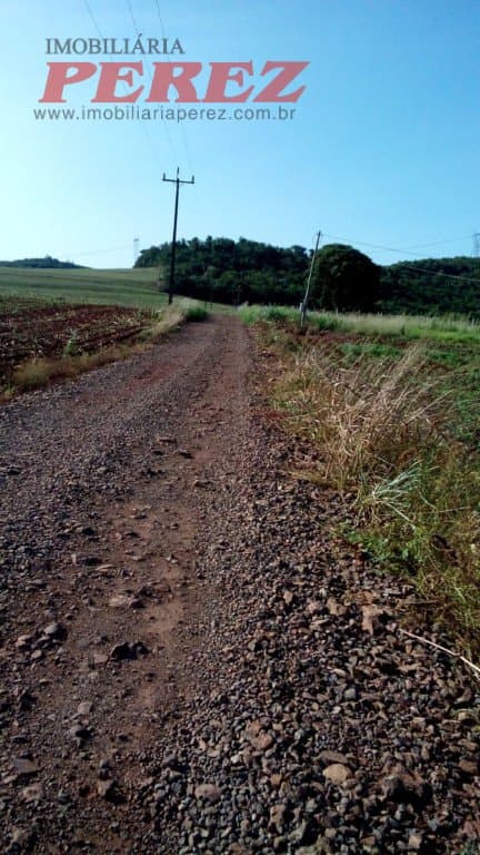 Chácara à venda na Estrada Betânia - Natureza, tranquilidade e ótima localização em Londrina! - Foto 4