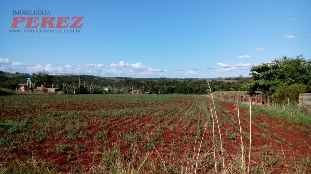 Chácara à venda na Estrada Betânia - Natureza, tranquilidade e ótima localização em Londrina! - Foto 8