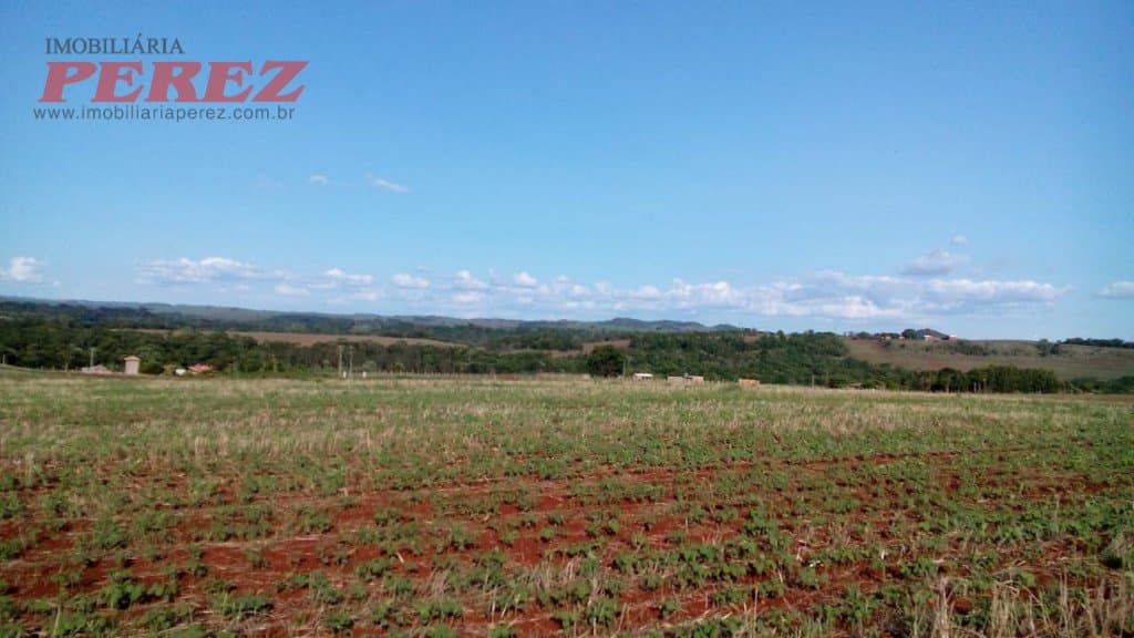 Chácara à venda na Estrada Betânia - Natureza, tranquilidade e ótima localização em Londrina! - Foto 2