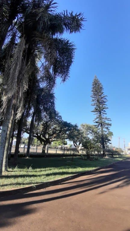Galpão, 6740 m² para alugar no Gleba Cambé - Londrina/PR - Foto 54